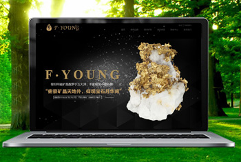 ��˳�������ﱦʯ